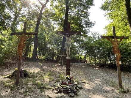Krížová cesta v Mariánke 6.4. – Informácie pre zapísaných študentov